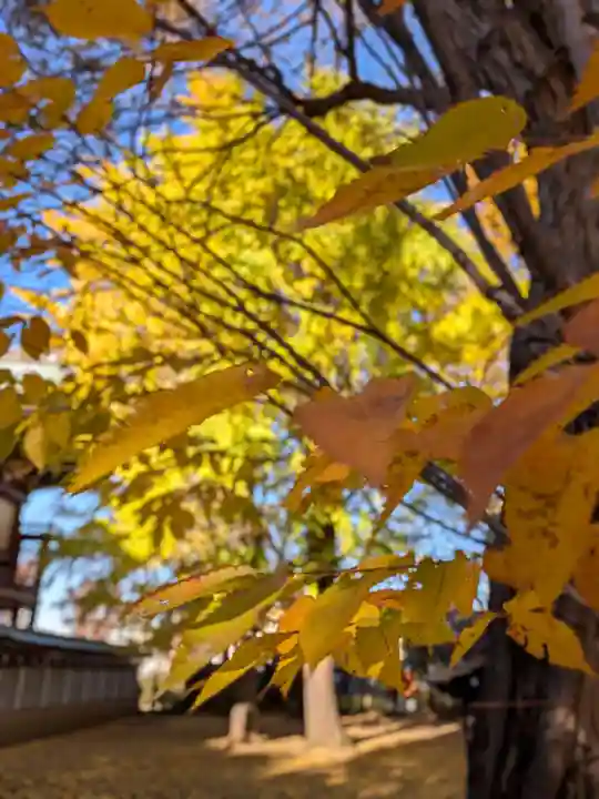 諏訪神社(東京都)