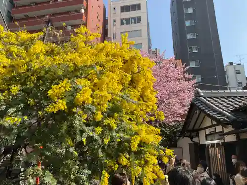 蔵前神社の自然
