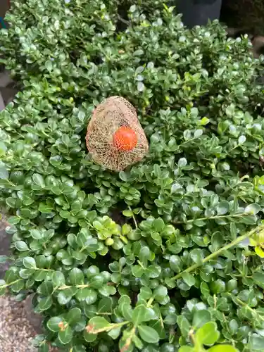 観音寺(大阪府)