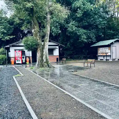 鷲宮神社(埼玉県)