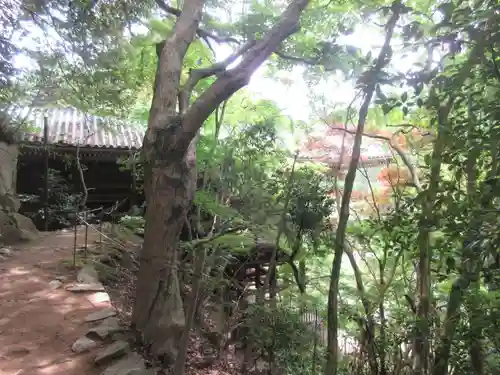 圓教寺(兵庫県)