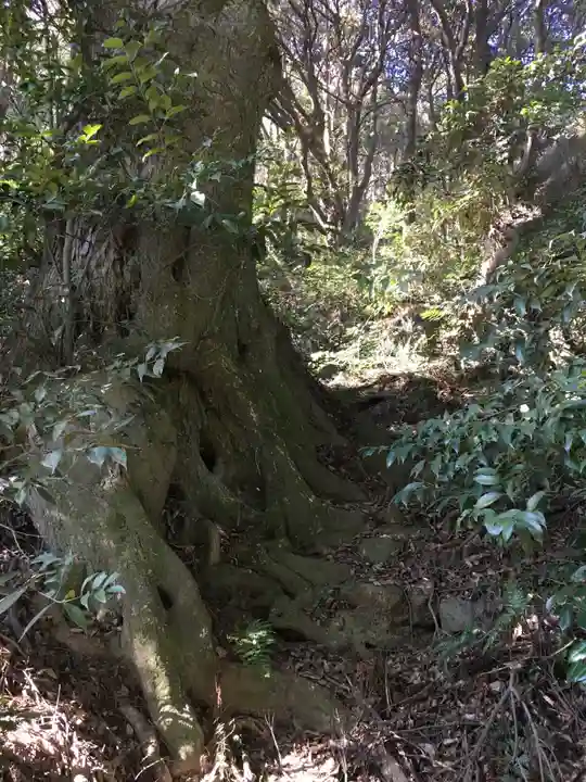 佐志能神社の自然