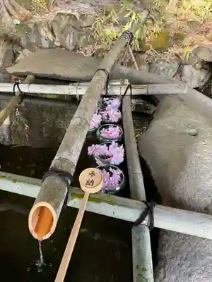 日枝神社(岐阜県)