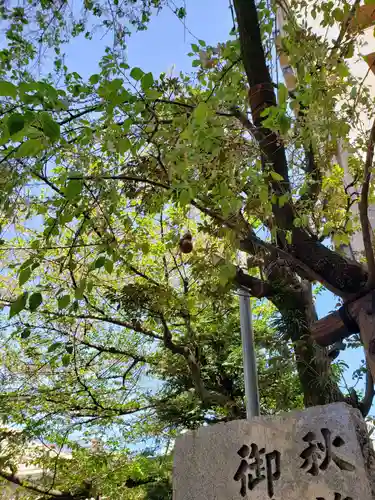 秋葉神社(東京都)