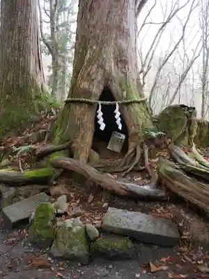 戸隠神社奥社のその他建物