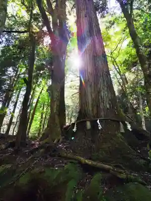貴船神社奥宮(京都府)