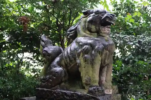 愛宕神社の狛犬