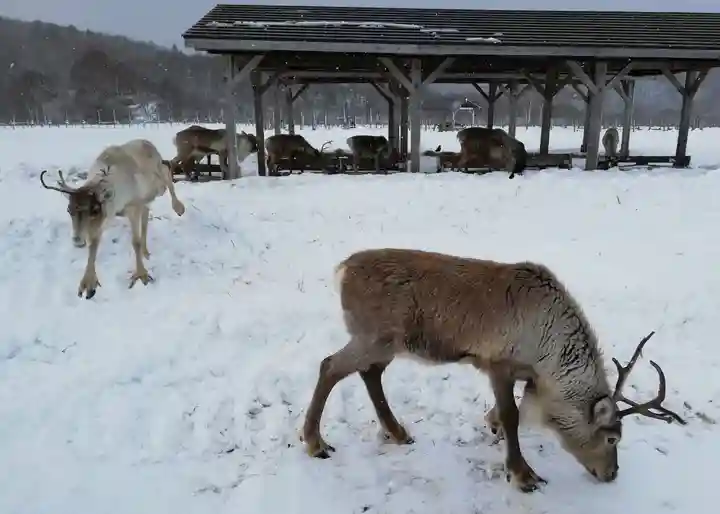 幌延神社(北海道)