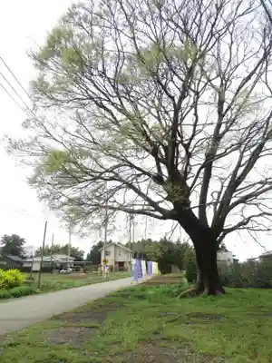 伏木香取神社(茨城県)