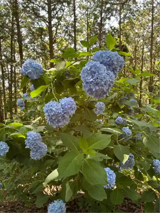 サムハラ神社 奥の宮(岡山県)