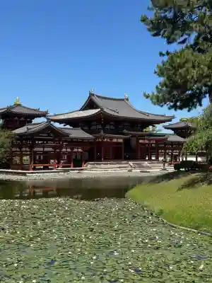 平等院の{uncategorized: "未分類", other: "その他", undefined: "問題あり", building: "その他建物", grave: "お墓", sacred_gate: "鳥居", guardian: "狛犬", statue: "像", buddha: "仏像", history: "歴史", nature: "自然", garden: "庭園", animal: "動物", pagoda: "塔", temizu: "手水舎", mountain_gate: "山門・神門", sanctuary: "本殿・本堂", subordinate: "末社・摂社", art: "芸術", scenery: "景色", jizo: "地蔵", ema: "絵馬", goshuin: "御朱印", omikuji: "おみくじ", items: "授与品その他", amulet: "お守り", goshuincho: "御朱印帳", eats: "食事", festival: "お祭り", votive_dance: "神楽", shichigosan: "七五三参", wedding: "結婚式", experience: "体験その他", initially: "初詣", around: "周辺", anti_infection: "感染症対策"}