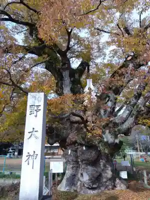 八幡神社(滋賀県)