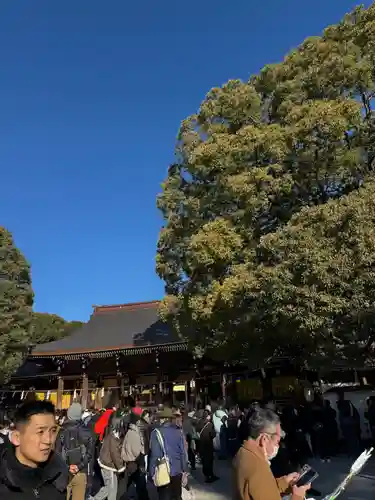 明治神宮(東京都)