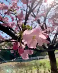 滑川神社 - 仕事と子どもの守り神の自然