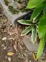 円山随身稲荷大明神のその他建物