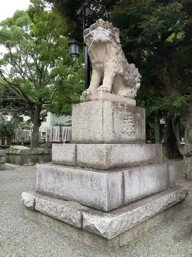 平塚八幡宮の狛犬