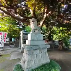 上高田氷川神社の狛犬