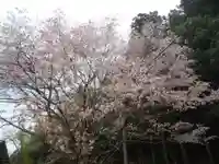 神明神社(岐阜県)