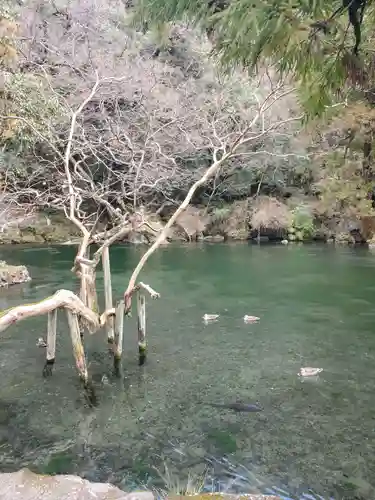 涌釜神社の庭園