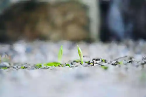 浄土寺(兵庫県)