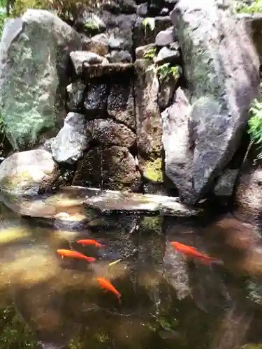 熊野神社の動物