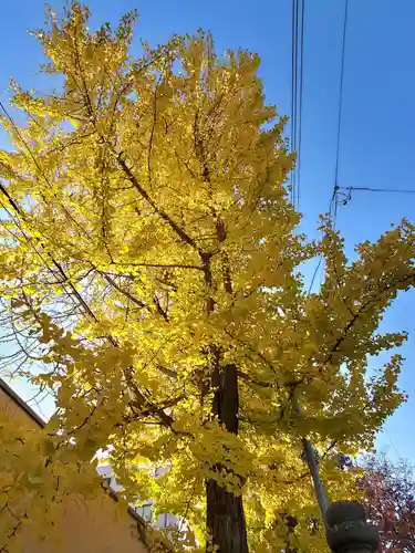 阿邪訶根神社(福島県)
