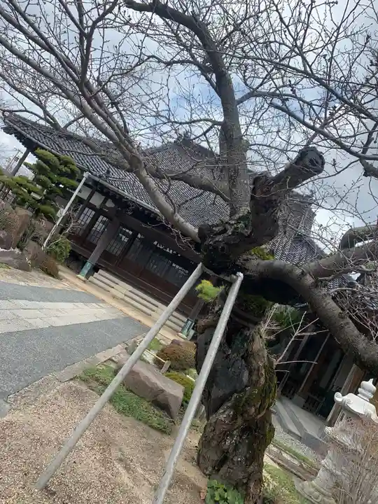 光妙寺の本殿・本堂