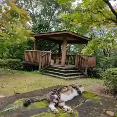 玉野御嶽神社の動物