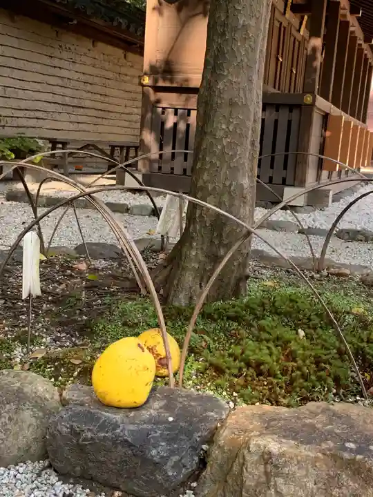 河合神社(鴨川合坐小社宅神社)の自然