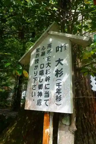 丹生川上神社（中社）の歴史