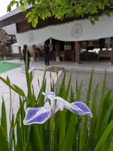 阿佐ヶ谷神明宮(東京都)