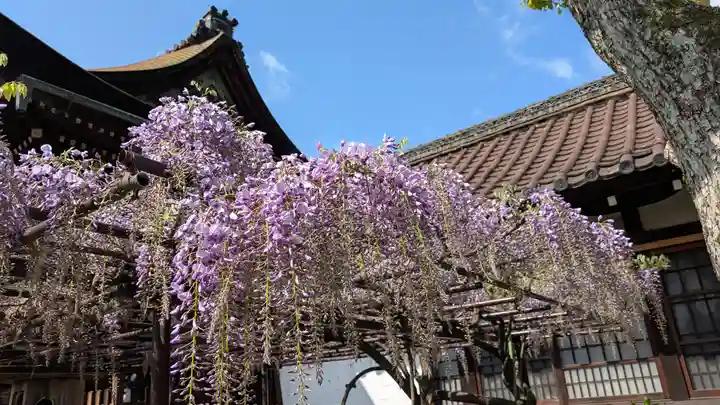 六孫王神社(京都府)