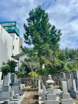 大聖院(神奈川県)