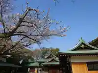多井畑厄除八幡宮の{uncategorized: "未分類", other: "その他", undefined: "問題あり", building: "その他建物", grave: "お墓", sacred_gate: "鳥居", guardian: "狛犬", statue: "像", buddha: "仏像", history: "歴史", nature: "自然", garden: "庭園", animal: "動物", pagoda: "塔", temizu: "手水舎", mountain_gate: "山門・神門", sanctuary: "本殿・本堂", subordinate: "末社・摂社", art: "芸術", scenery: "景色", jizo: "地蔵", ema: "絵馬", goshuin: "御朱印", omikuji: "おみくじ", items: "授与品その他", amulet: "お守り", goshuincho: "御朱印帳", eats: "食事", festival: "お祭り", votive_dance: "神楽", shichigosan: "七五三参", wedding: "結婚式", experience: "体験その他", initially: "初詣", around: "周辺", anti_infection: "感染症対策"}