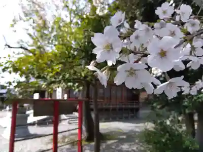 杉杜白髭神社(福井県)