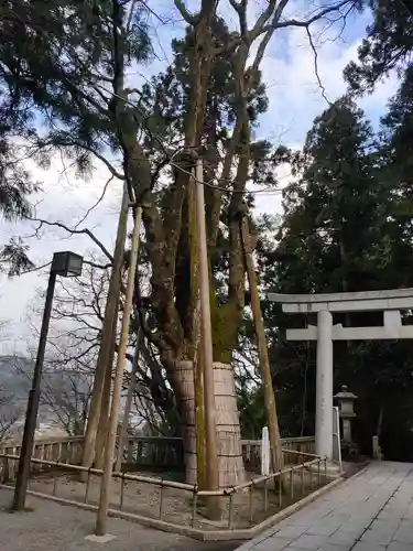 白山比咩神社の自然