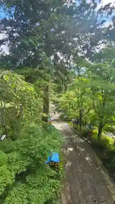 大善寺(山梨県)