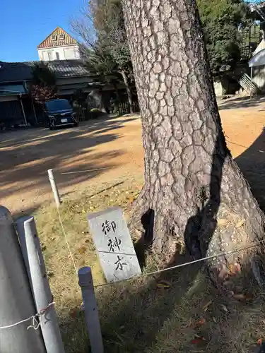 羽田八幡宮(愛知県)