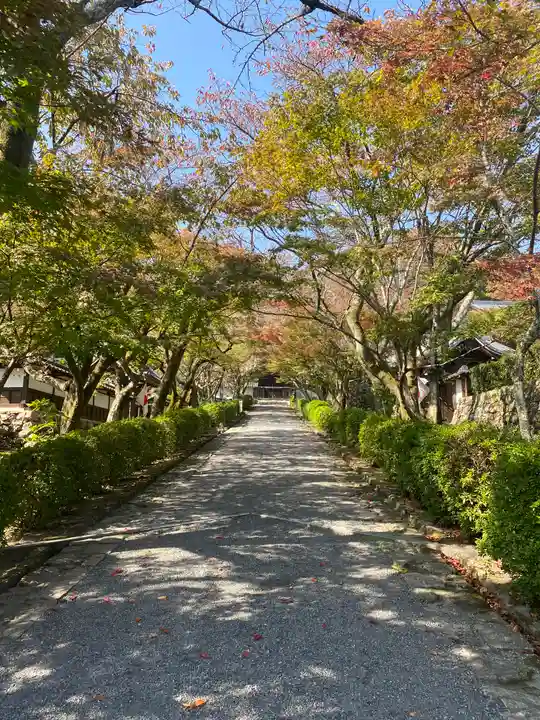 西教寺(滋賀県)