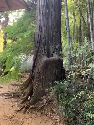 妙見神社(千葉県)