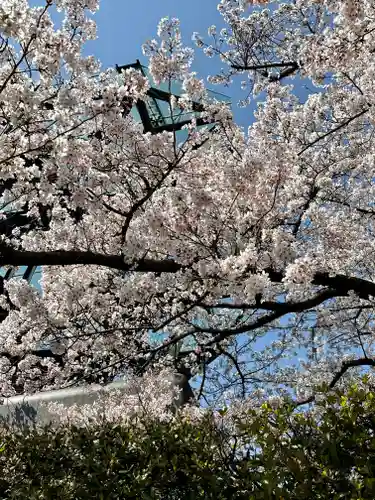 一心寺の御朱印