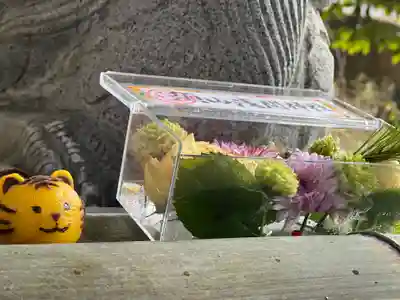 須山浅間神社(静岡県)