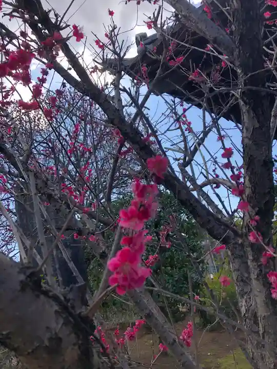 境香取神社の自然