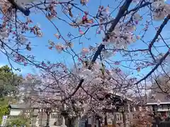 阿部野神社の自然