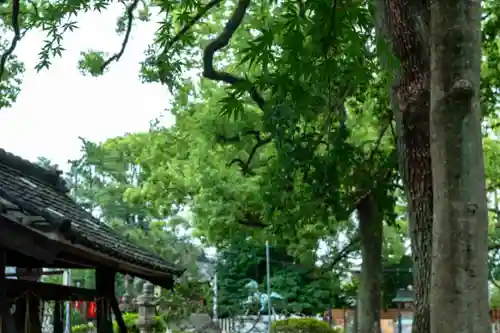 川原神社(愛知県)