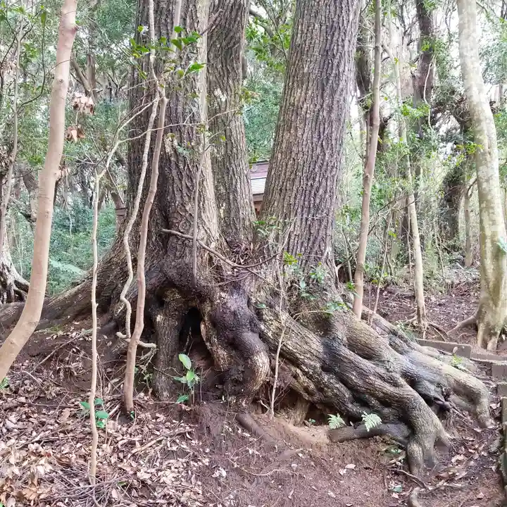 雙宮神社の自然