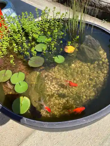 八幡宮(茨城県)