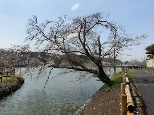 成願寺(千葉県)