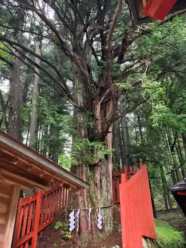 日光二荒山神社中宮祠(栃木県)