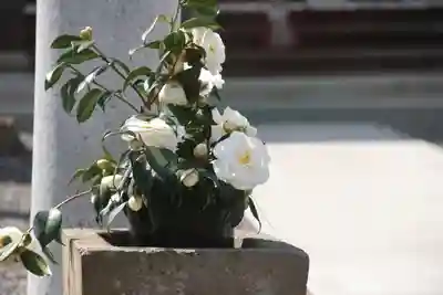 熊野福藏神社の手水舎